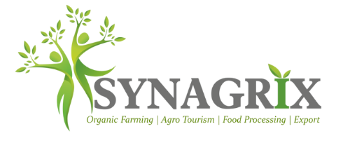 synagrix.com